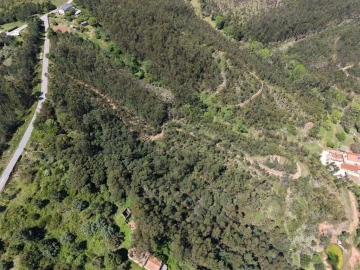 Quinta T3 para Venda em Tavarede