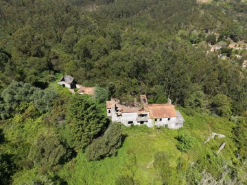 Quinta T3 para Venda em Tavarede