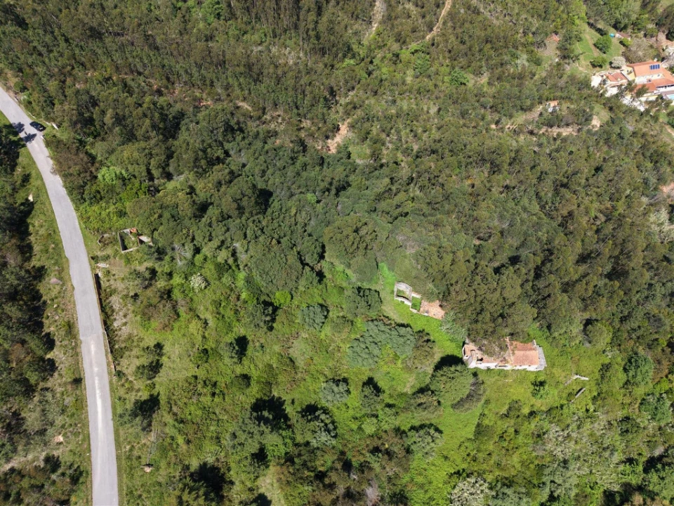 Quinta T3 para Venda em Tavarede Foto 5