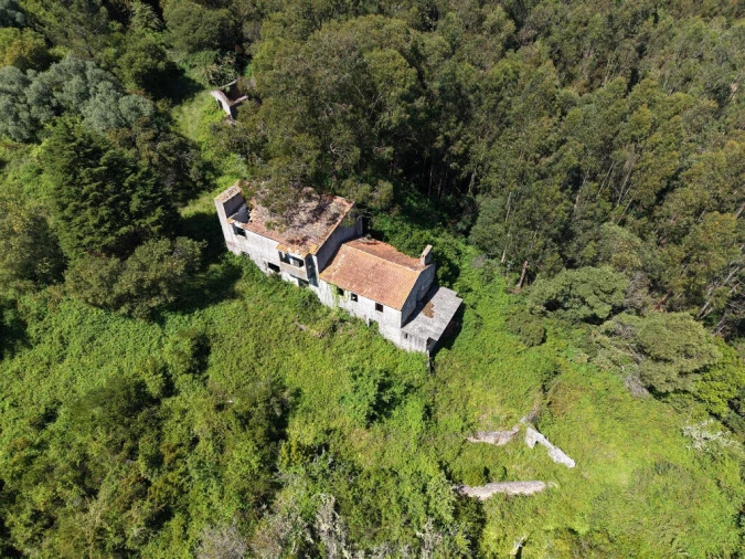Quinta T3 para Venda em Tavarede Foto 6