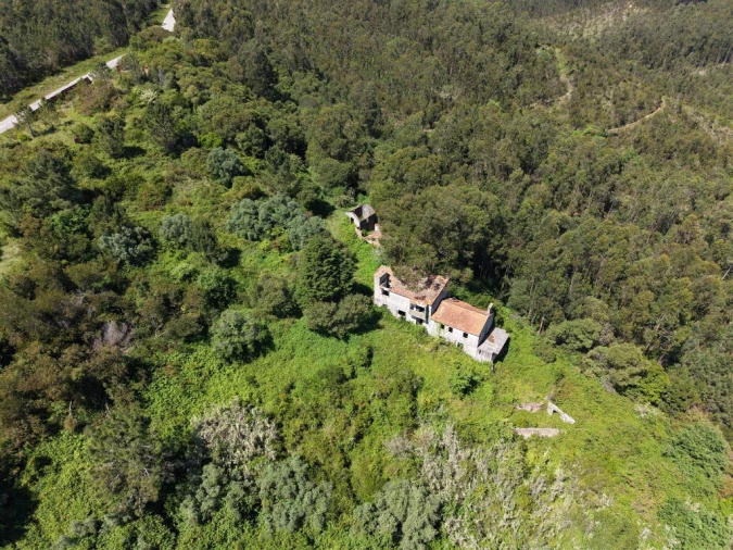 Quinta T3 para Venda em Tavarede