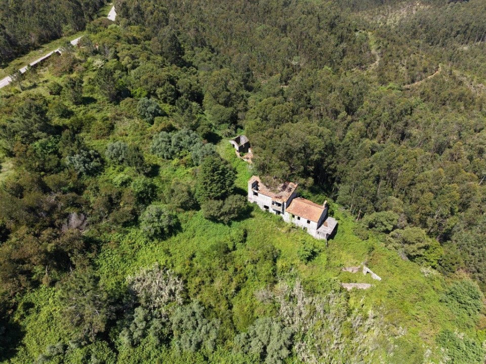 Quinta T3 para Venda em Tavarede Foto 1