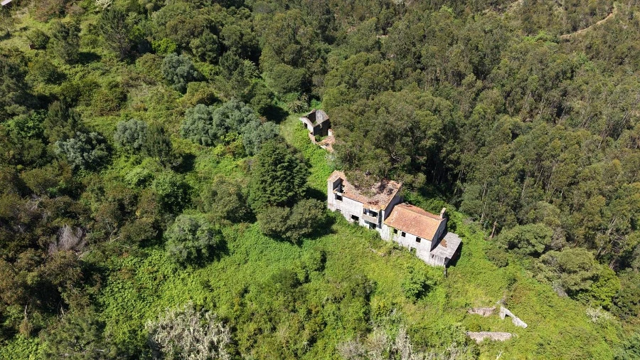 Quinta T3 para Venda em Tavarede
