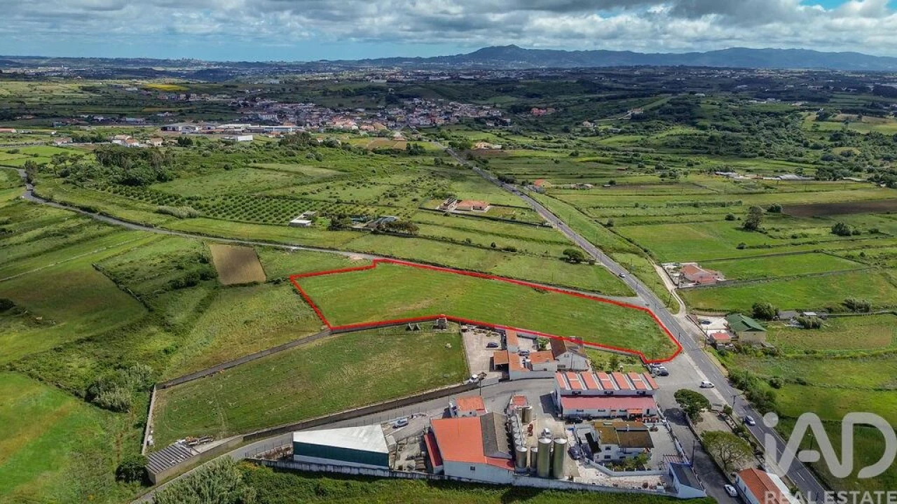 Terreno para Venda em Santa Maria e São Miguel, São Martinho, São Pedro Penaferrim Foto 20