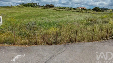 Terreno para Venda em Santa Maria e São Miguel, São Martinho, São Pedro Penaferrim