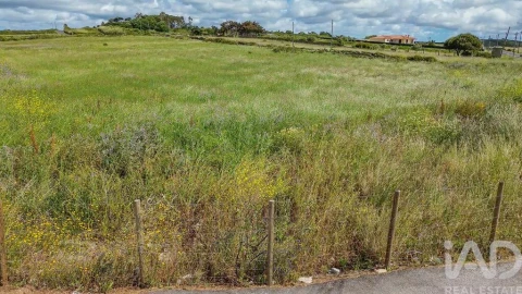 Terreno para Venda em Santa Maria e São Miguel, São Martinho, São Pedro Penaferrim