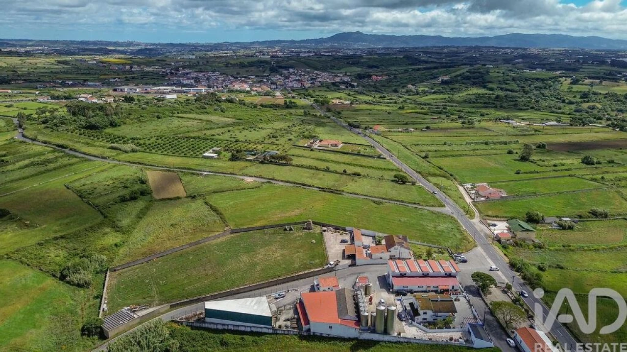 Terreno para Venda em Santa Maria e São Miguel, São Martinho, São Pedro Penaferrim Foto 18