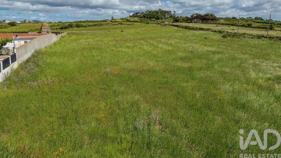 Terreno para Venda em Santa Maria e São Miguel, São Martinho, São Pedro Penaferrim Foto 13