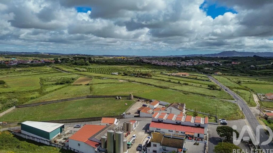 Terreno para Venda em Santa Maria e São Miguel, São Martinho, São Pedro Penaferrim Foto 17