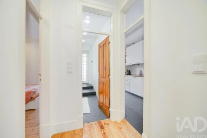 Apartamento T4 para Arrendamento em Campo de Ourique