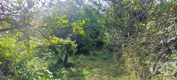 Terreno para Venda em Loivo
