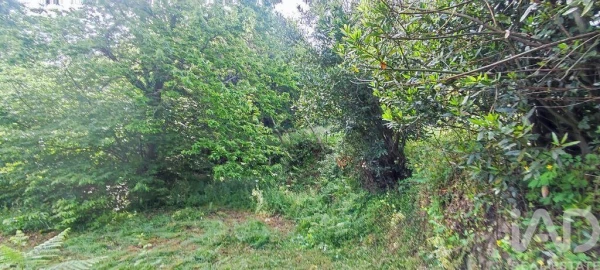 Terreno para Venda em Loivo