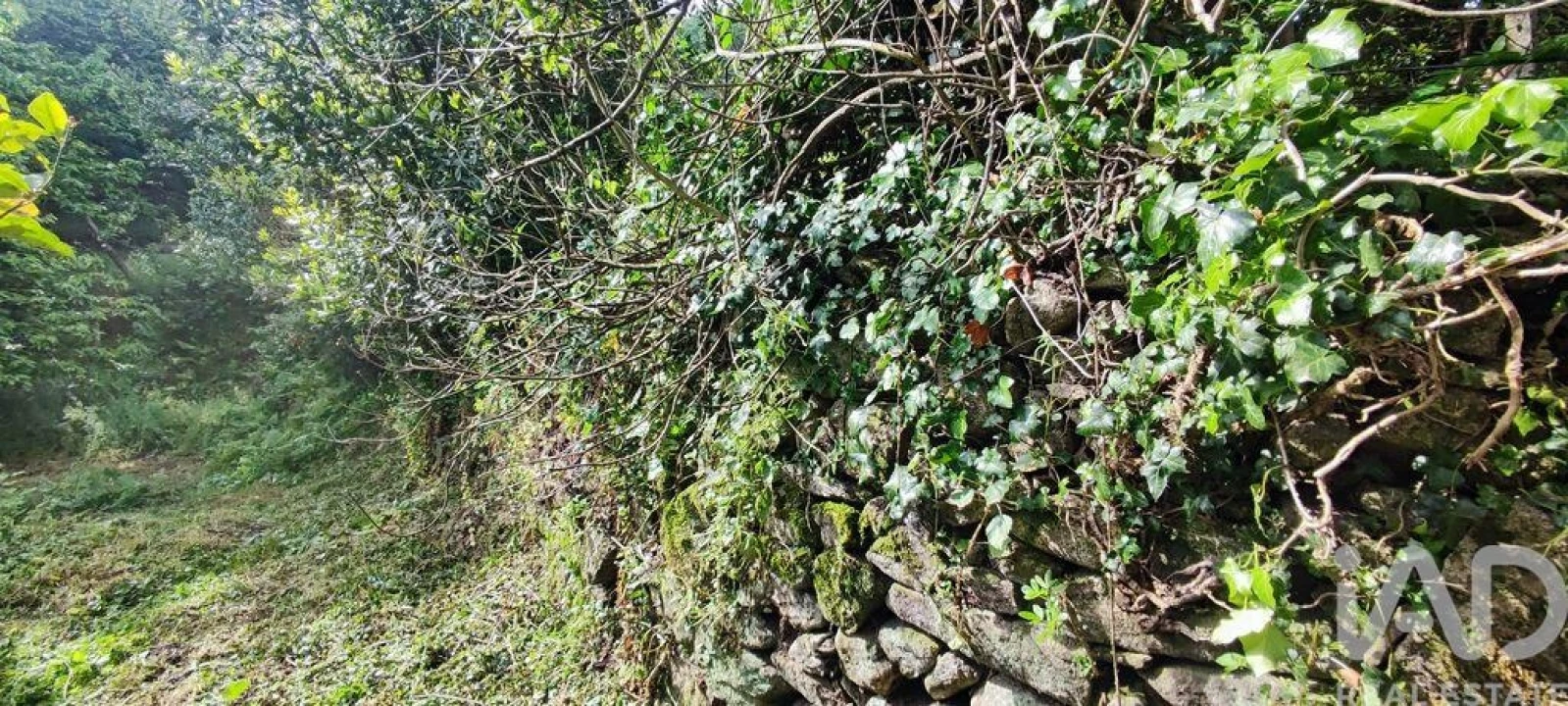 Terreno para Venda em Loivo Foto 6