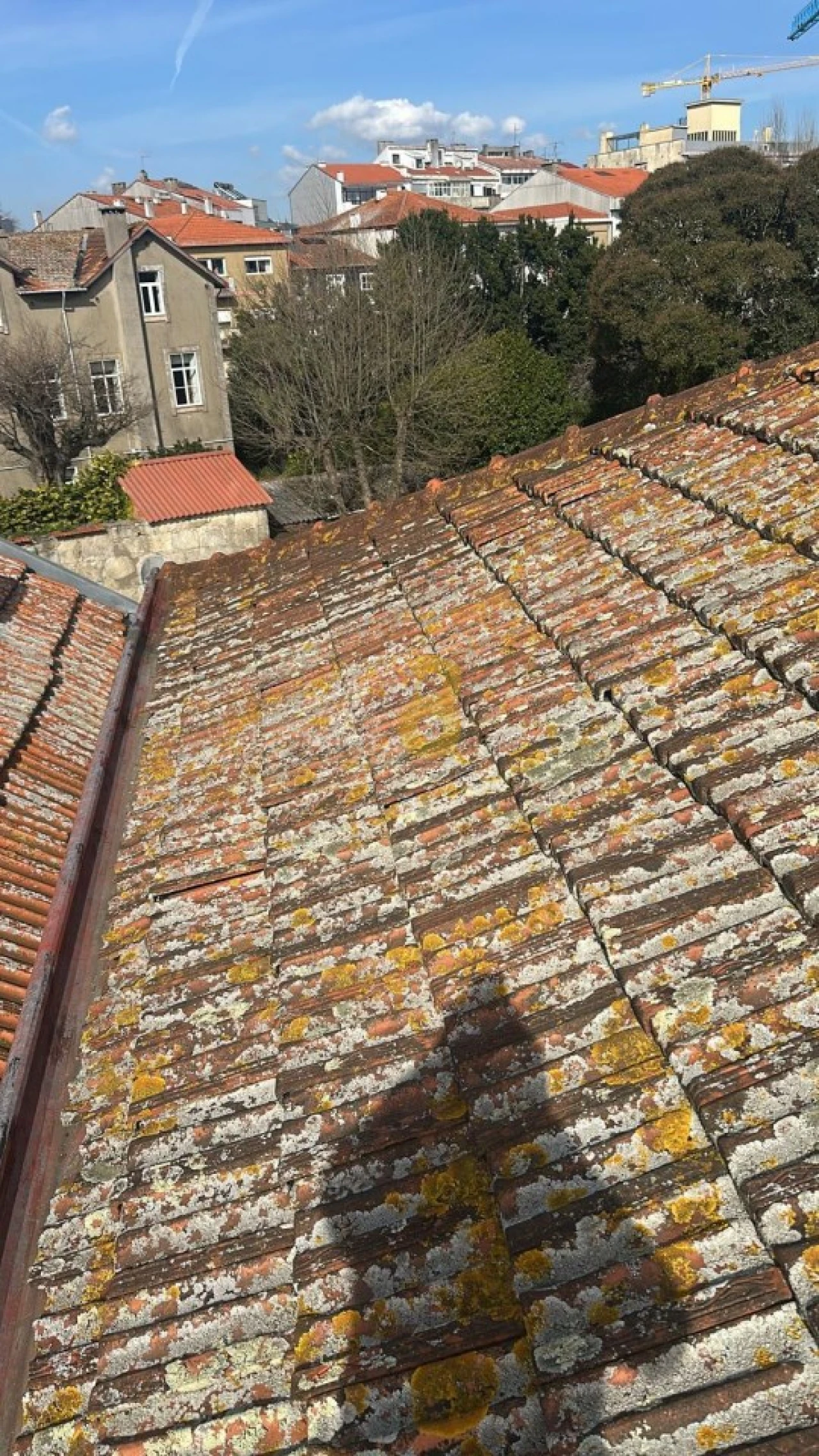 Prédio para Venda em Lordelo do Ouro e Massarelos Foto 16
