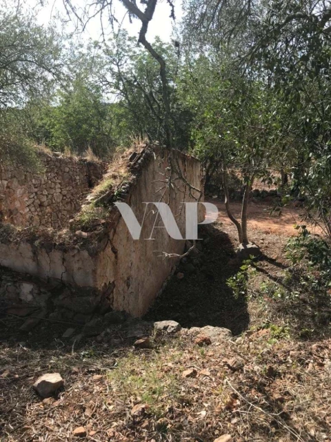 Terreno para Venda em Loule (São Clemente)