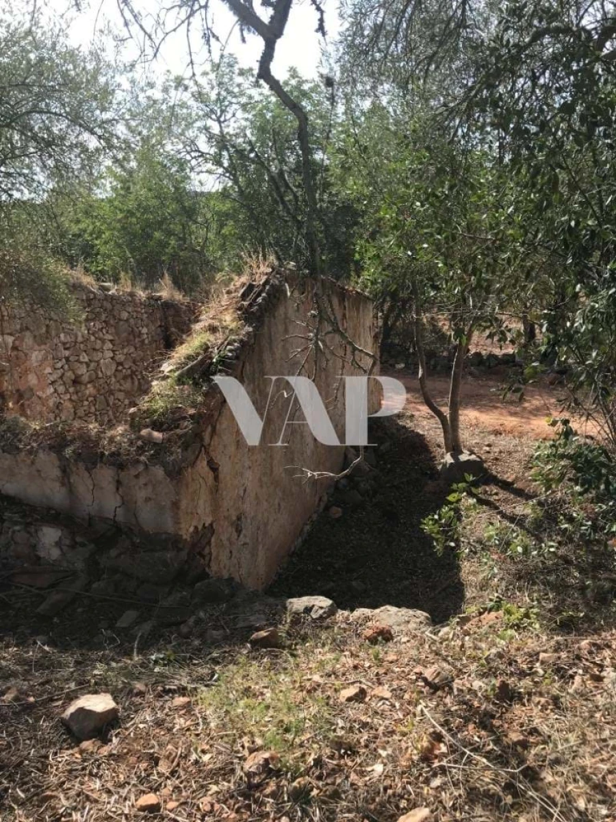 Terreno para Venda em Loule (São Clemente) Foto 9