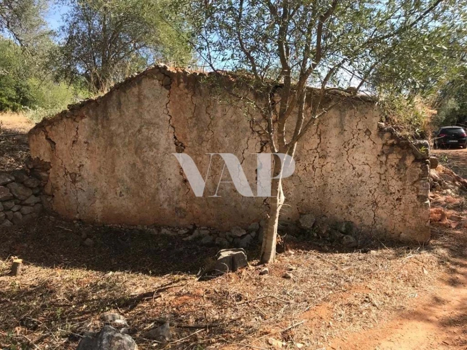 Terreno para Venda em Loule (São Clemente) Foto 3