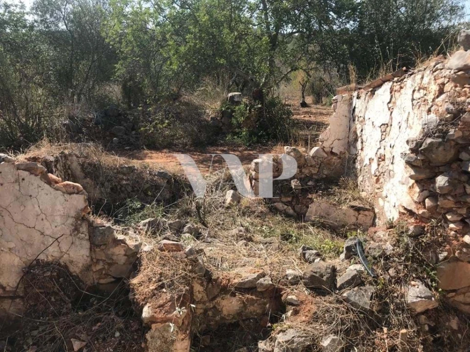Terreno para Venda em Loule (São Clemente) Foto 10