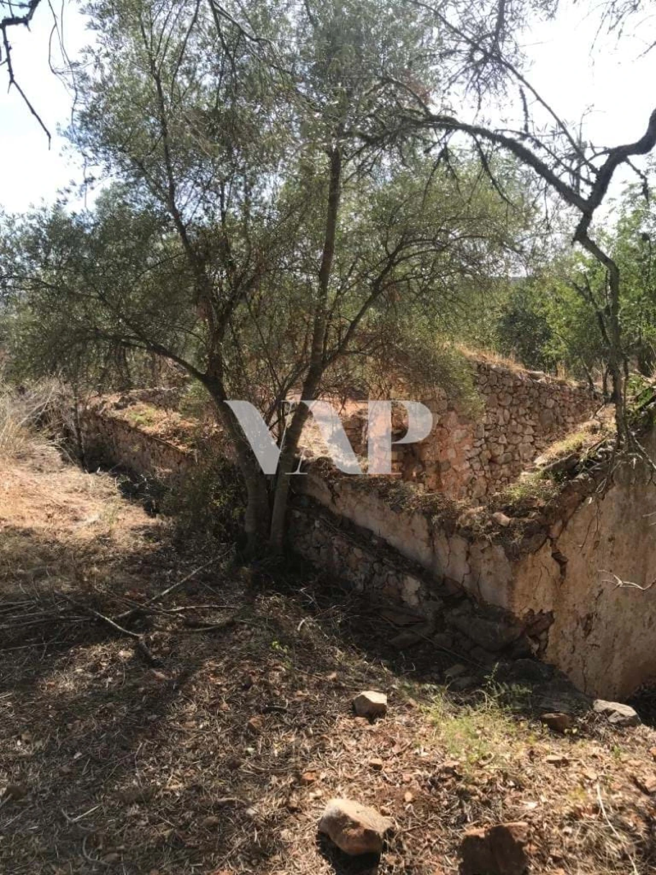 Terreno para Venda em Loule (São Clemente) Foto 4