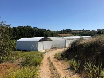 Terreno Agricola ou Rústico para Venda em Samuel