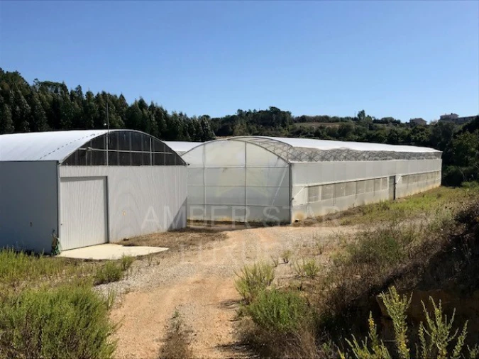 Terreno Agricola ou Rústico para Venda em Samuel Foto 2