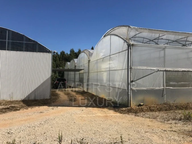 Terreno Agricola ou Rústico para Venda em Samuel Foto 3