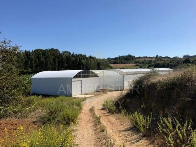 Terreno Agricola ou Rústico para Venda em Samuel Foto 13