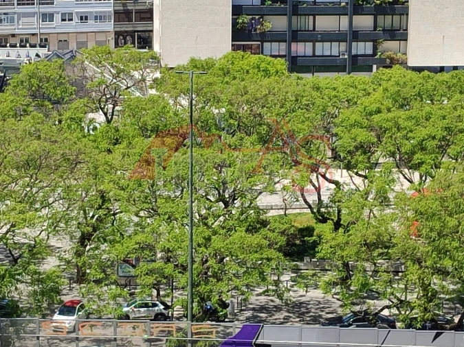Apartamento T3 para Arrendamento em São Domingos de Benfica Foto 2