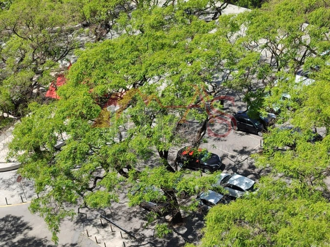 Apartamento T3 para Arrendamento em São Domingos de Benfica Foto 38