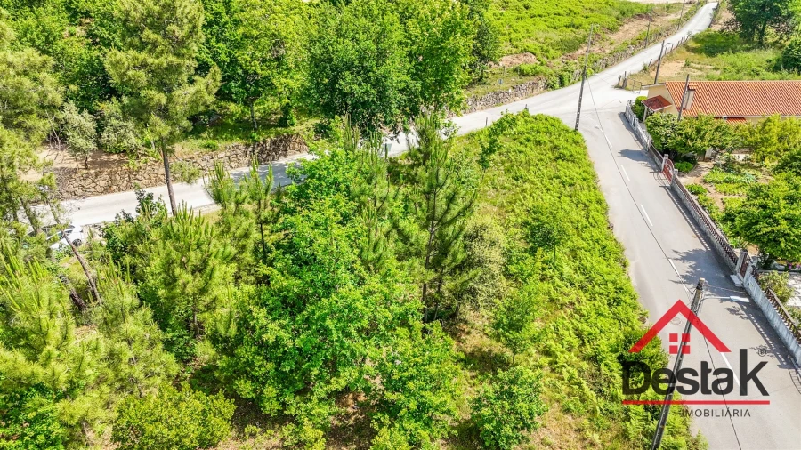 Terreno para Venda em Santos Evos Foto 5