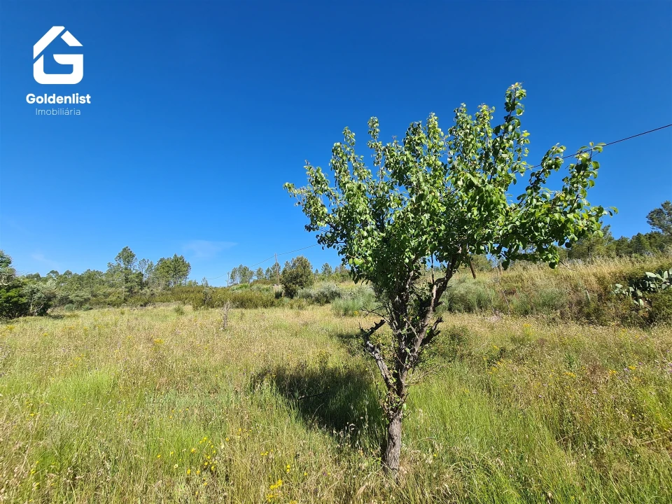 Quinta T0 para Venda em Sarnadas de Rodão Foto 27