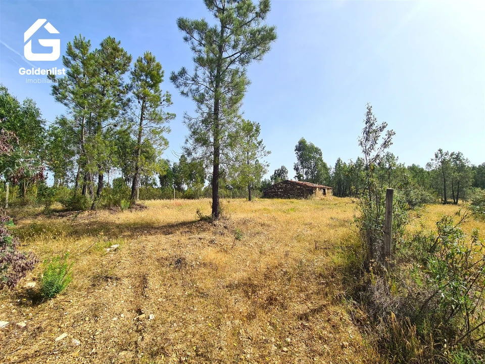 Quinta T0 para Venda em Sarnadas de Rodão Foto 16