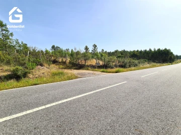 Quinta T0 para Venda em Sarnadas de Rodão