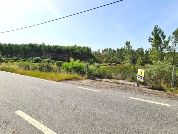Quinta T0 para Venda em Sarnadas de Rodão
