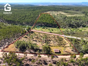 Quinta T0 para Venda em Sarnadas de Rodão