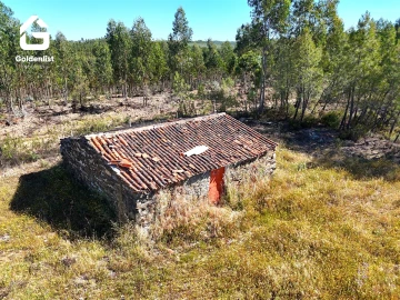 Quinta T0 para Venda em Sarnadas de Rodão