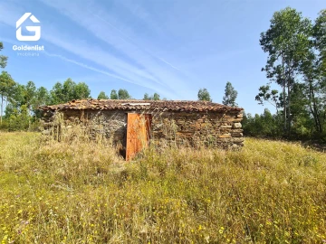 Quinta T0 para Venda em Sarnadas de Rodão