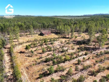 Quinta T0 para Venda em Sarnadas de Rodão