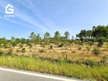 Quinta T0 para Venda em Sarnadas de Rodão