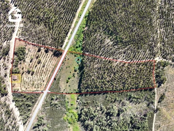 Quinta T0 para Venda em Sarnadas de Rodão