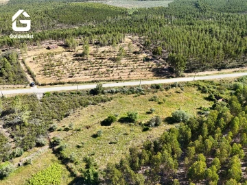 Quinta T0 para Venda em Sarnadas de Rodão