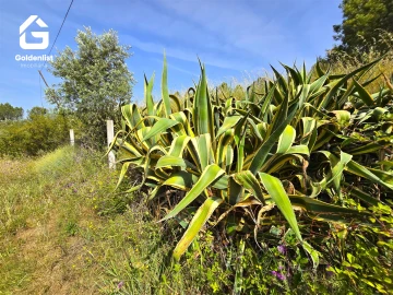 Quinta T0 para Venda em Sarnadas de Rodão