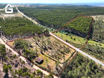 Quinta T0 para Venda em Sarnadas de Rodão