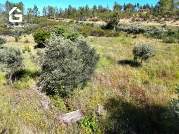Quinta T0 para Venda em Sarnadas de Rodão