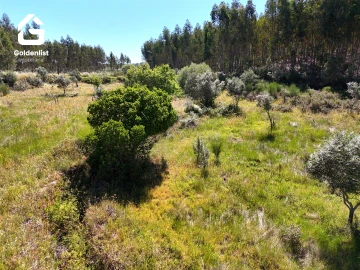 Quinta T0 para Venda em Sarnadas de Rodão