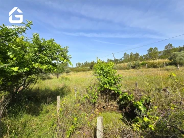 Quinta T0 para Venda em Sarnadas de Rodão