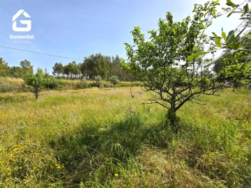 Quinta T0 para Venda em Sarnadas de Rodão
