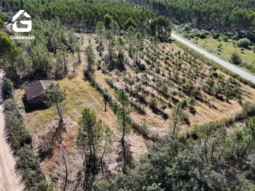 Quinta T0 para Venda em Sarnadas de Rodão