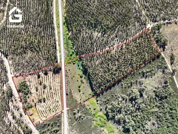 Quinta T0 para Venda em Sarnadas de Rodão