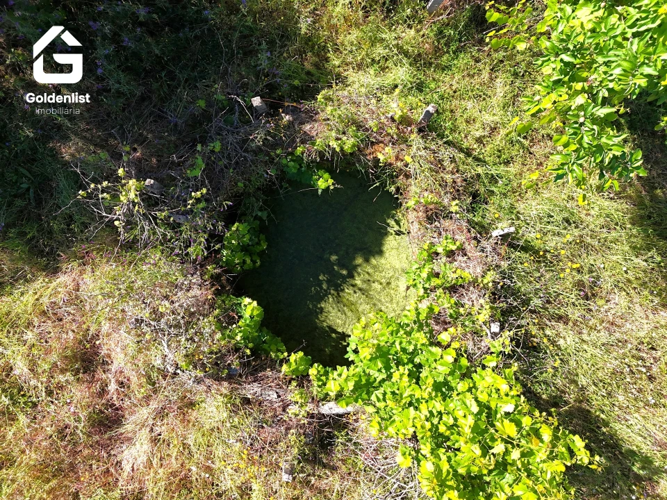 Quinta T0 para Venda em Sarnadas de Rodão Foto 5